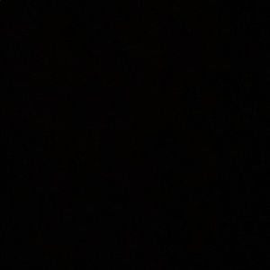 Meet your Posher, Reagan